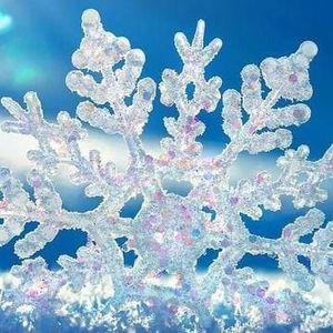 Meet your Posher, Kay